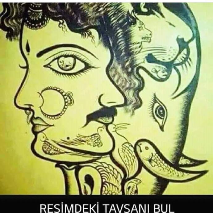 Resimdeki tavşanı kimler bulabilir?