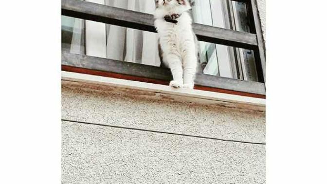 "Derdin varsa git denize anlat. Kedilere, bulutlara anlat. Pencere pervazında çiçeklere anlat. İnsana dert anlatılır mı hiç?"?