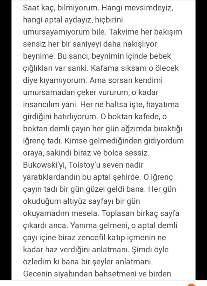 Duman grubunun solisti Kaan Tangöze ile intihar eden sevgilisi Ahu'nun hikayesini biliyor musunuz?