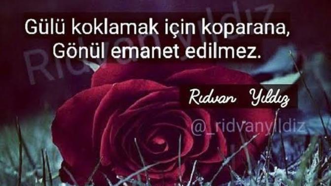 Gönülden düşmek mi daha kötü yoksa gözden düşmek mi daha kötüdür?