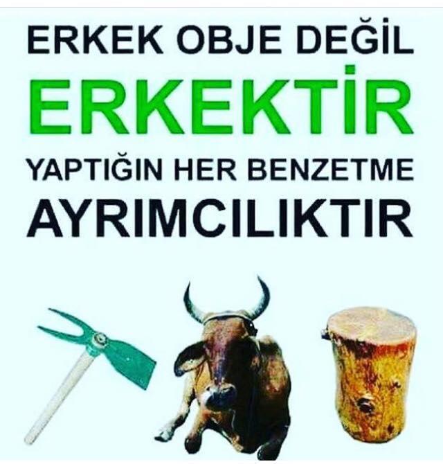 Erkekler odunsa kadınlar nedir?