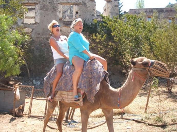 Deveye binmek sizi güldürür mü😀?