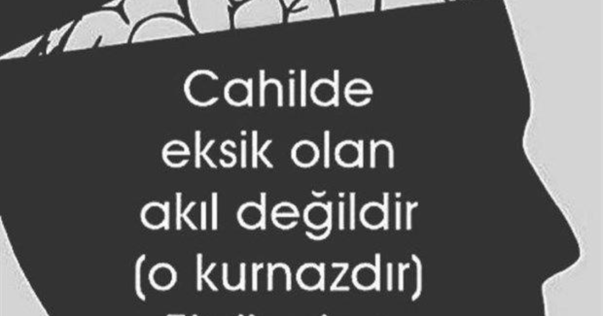 Akıllı insan kurnazmıdır? Kurnaz insan akıllımıdır? - KizlarSoruyor