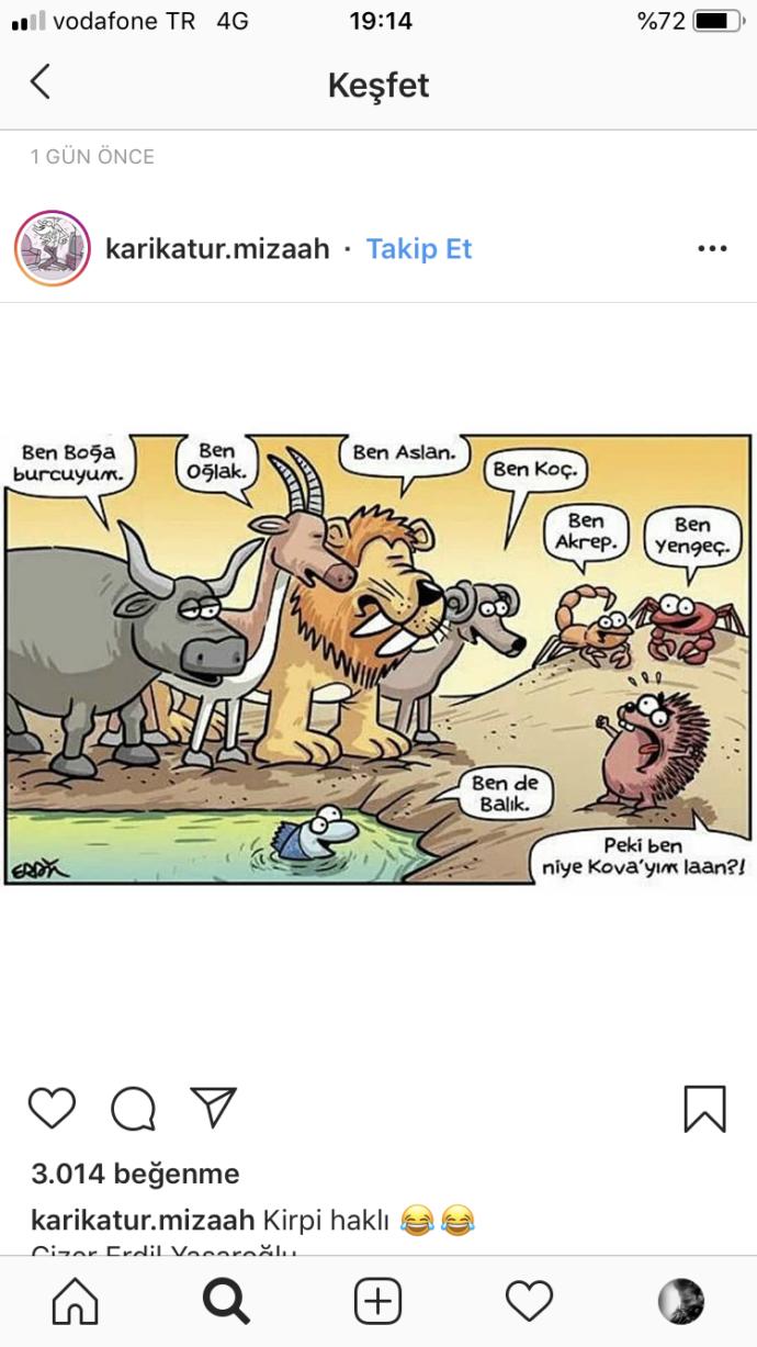 Burcunuz nedir, özelliklerini taşıyor musunuz?