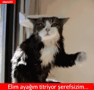 Uslu bir kız olursam şirinleri görebilir miyim?