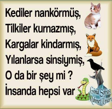 En tehlikeli insan tipi nedir?