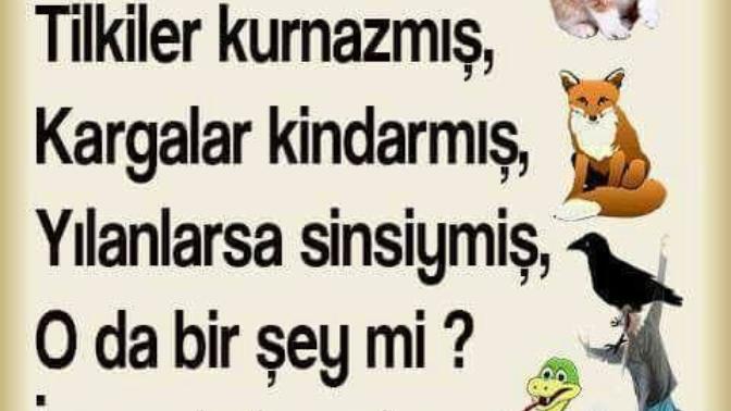 En tehlikeli insan tipi nedir?