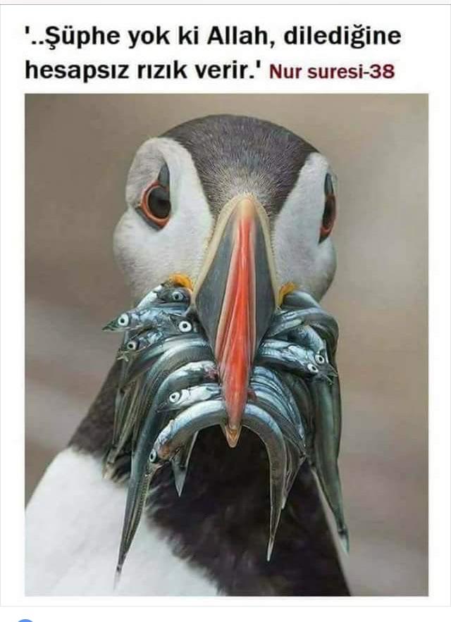 Ramazan ruhunu en iyi yansıtan fotoğraf yarışmasına hazır mısın KScan? 📸🍜