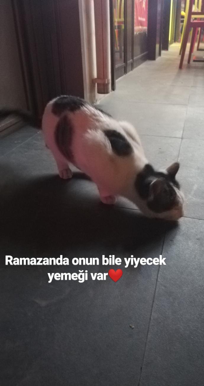 Ramazan ruhunu en iyi yansıtan fotoğraf yarışmasına hazır mısın KScan? 📸🍜