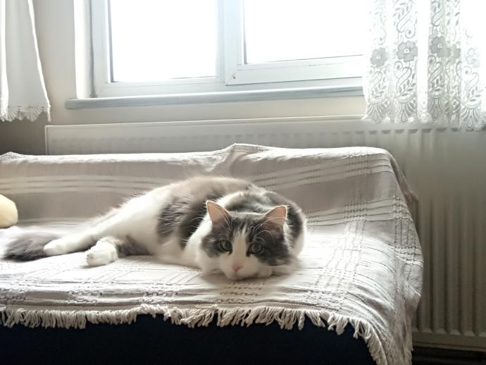 Ramazan ruhunu en iyi yansıtan fotoğraf yarışmasına hazır mısın KScan? 📸🍜