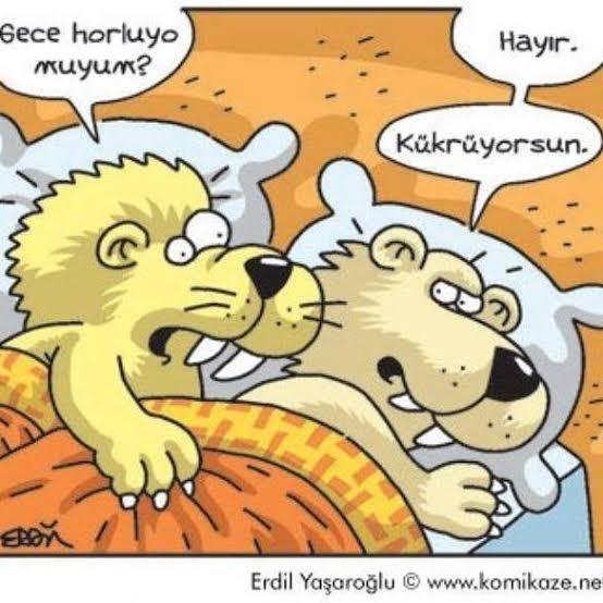 Erkekler neden hırlıyor?