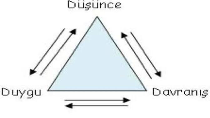 Düşünceler mi duygulara dönüşür? Duygular düşüncelere mi?