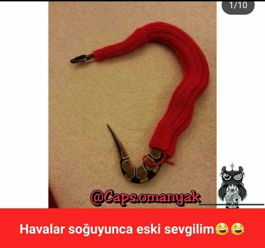 Eski sevgilinizi neye benzetiyorsunuz?