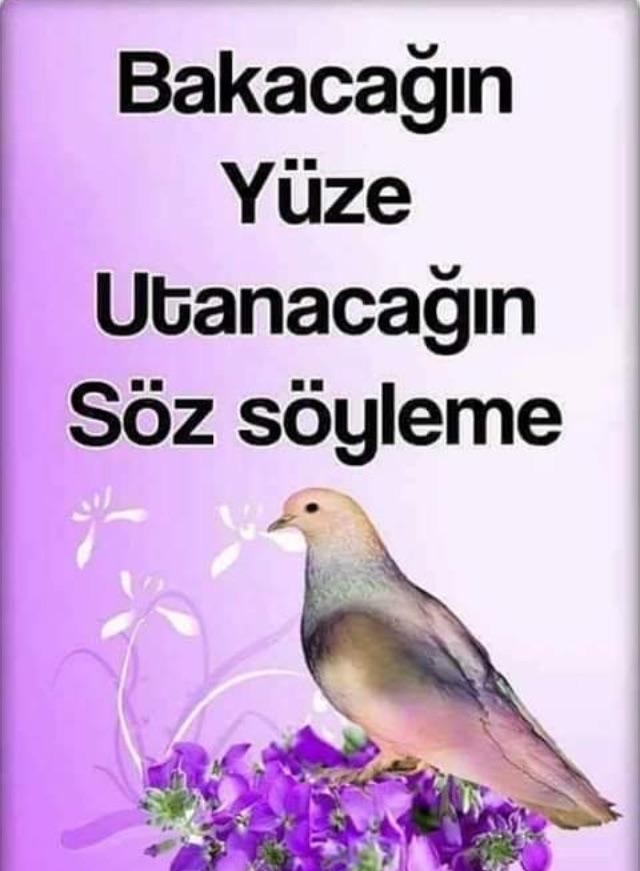 Gönül ve göz yanılır mı? Veya gördüğümüzün etkisinde kalırmıyız?