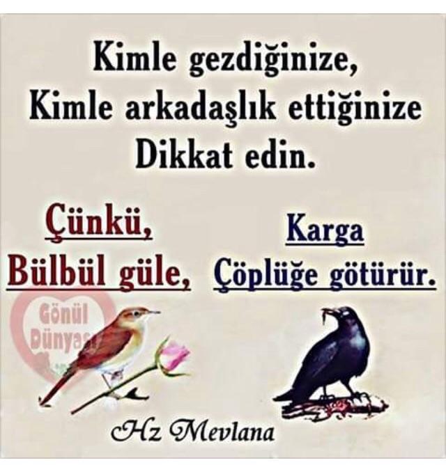Gönül ve göz yanılır mı? Veya gördüğümüzün etkisinde kalırmıyız?