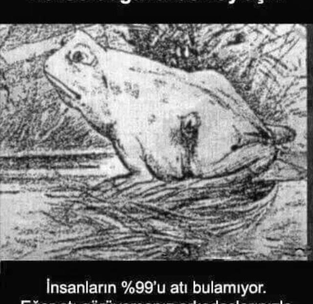 Gönül ve göz yanılır mı? Veya gördüğümüzün etkisinde kalırmıyız?
