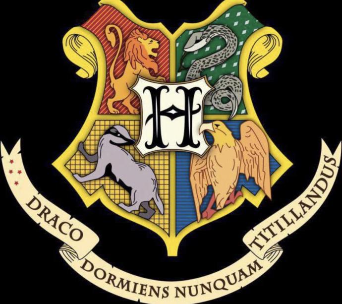 Hangi Hogwarts Binasındansın?