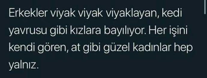 Erkekler böyle minnoş kızlardan hoşlanıyor ama her şeyi kendi yapan kadın gibi kadınlar hep yalnız sizce beyler?
