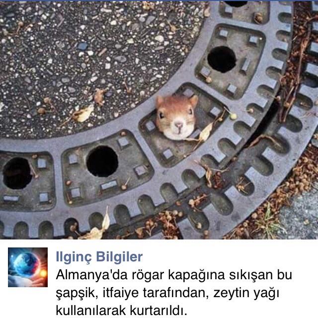 Dominant kadınlar itici mi çekici mi?