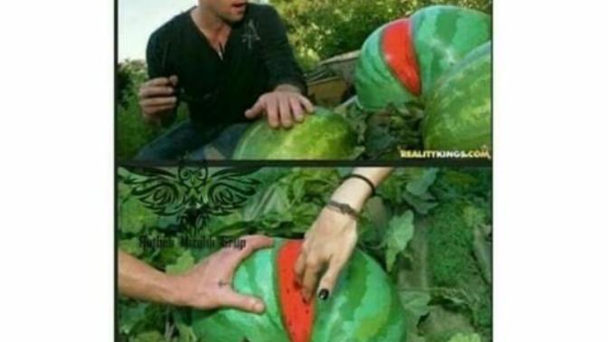 Karpuz severmisiniz karpuz gibi kalça mi yoksa göğüslermi olsunuz istersiniz?