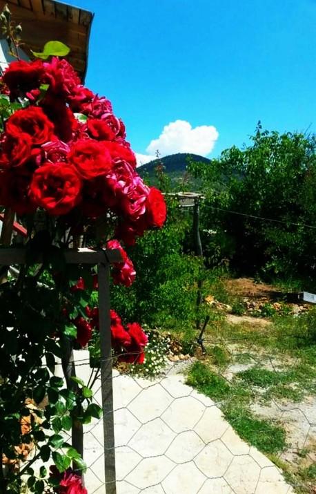 Aşk aranarak bulunur mu?