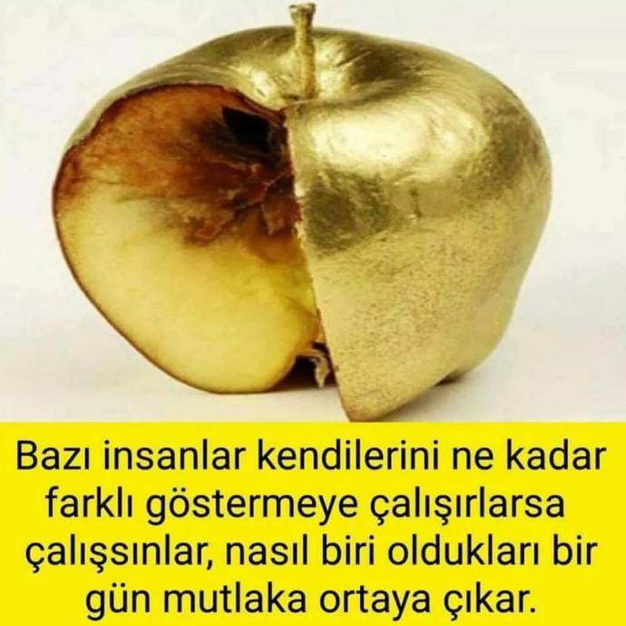 Bir elmanın iki yarısı olmaya çalıştığın kişi armut çıkarsa n'aparsın?