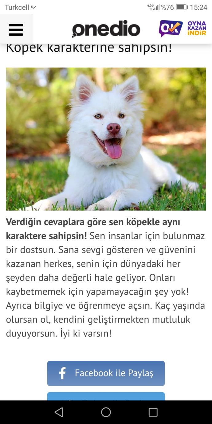 Hangi vahşi hayvanın ruhuna sahipsin?