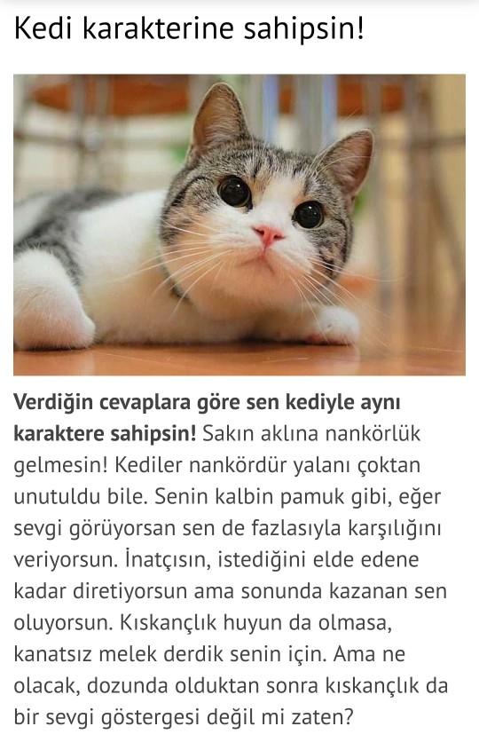 Hangi vahşi hayvanın ruhuna sahipsin?