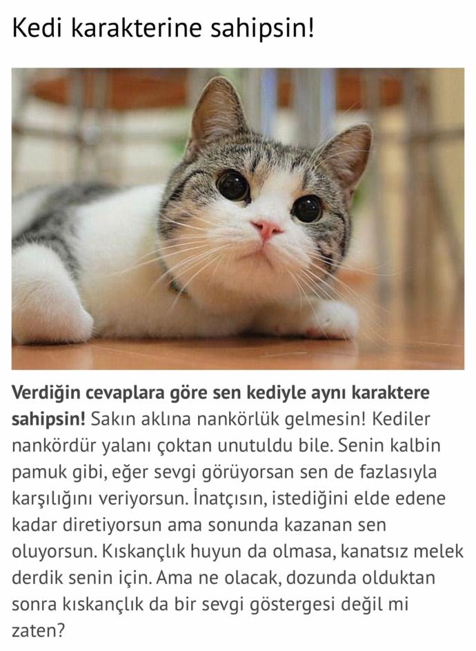 Hangi vahşi hayvanın ruhuna sahipsin?