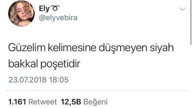 Size ne söylenirse düştüm Allah kaldır beni dersiniz?