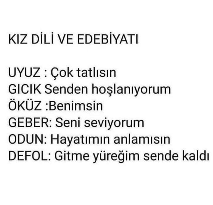 Kiz dili ve edebiyati iliskileri kurtariyor?