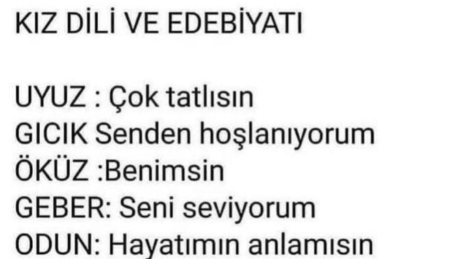 Kiz dili ve edebiyati iliskileri kurtariyor?