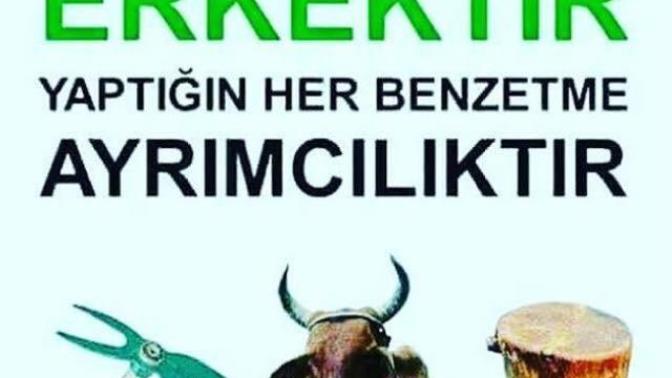 Erkeklerin obje olarak görülmesine hayır. Yaşasın maskülizm?