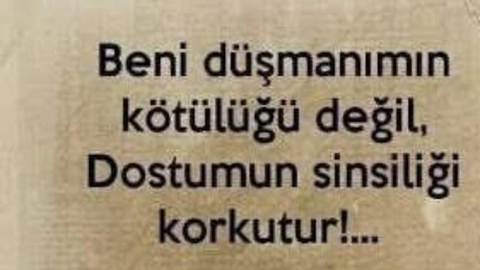 Sinsi insanlar tehlikeli midir?