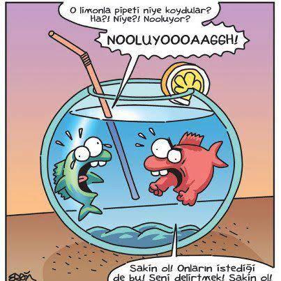 Delirmenize sebep olacak şey nedir?