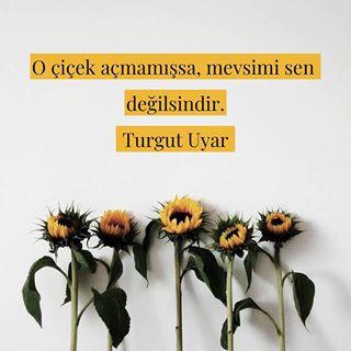 var mı Aşkın vakti, mevsimi?