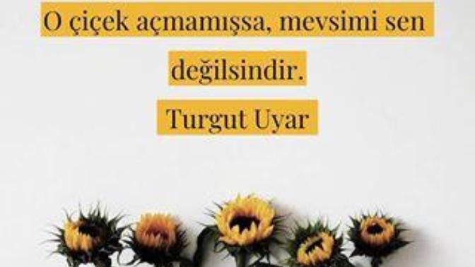 Aşkın en çok yakıştığı mevsim hangisi?