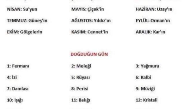 Japonca da doğduğun günün anlamı ne?