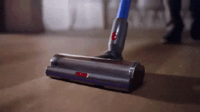 Dyson V11
