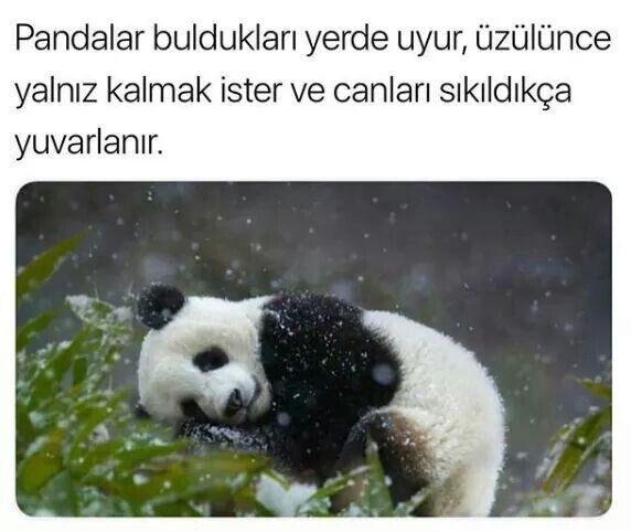 Üzülünce ne yaparsınız?