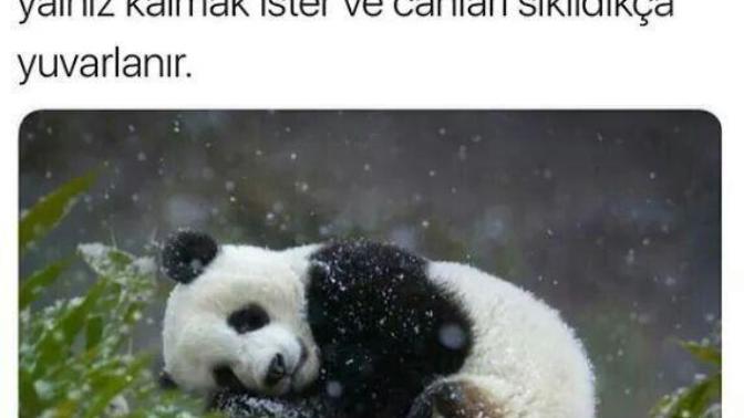 Üzülünce ne yaparsınız?