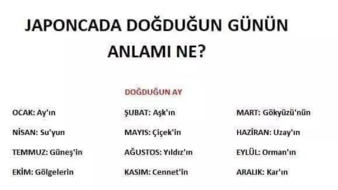 Japoncada doğduğun günün anlamı nedir 🙄?