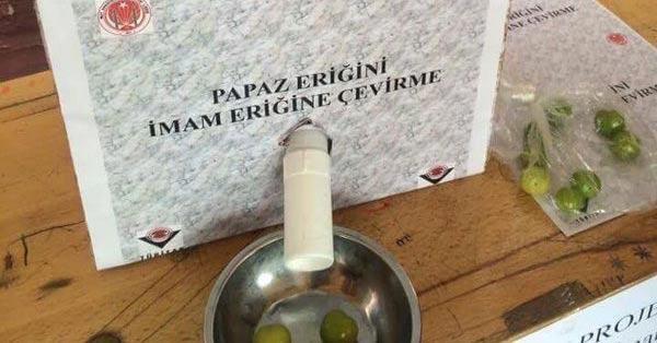 Papaz eriği yemek caiz midir?