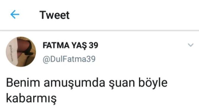 Bu nasıl  bir  tweettir?
