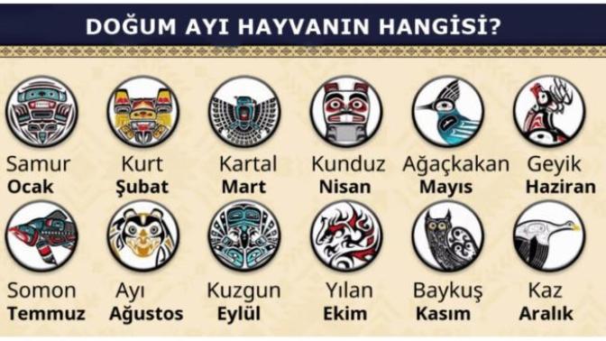 Doğum ayı hayvanin hangisi?