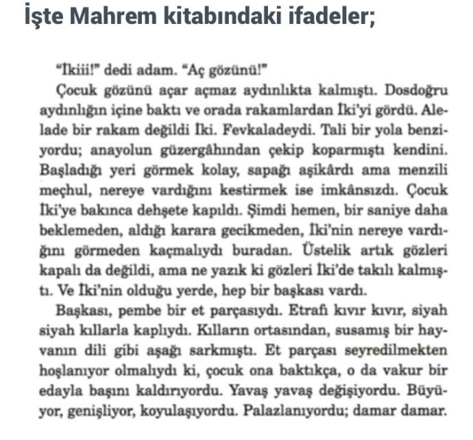 Abdullah Şevki'nin ardından Elif Şafak'ın da çocuk istismarını öven kitap yazdığı ortaya çıktı. Ne düşünüyorsunuz?