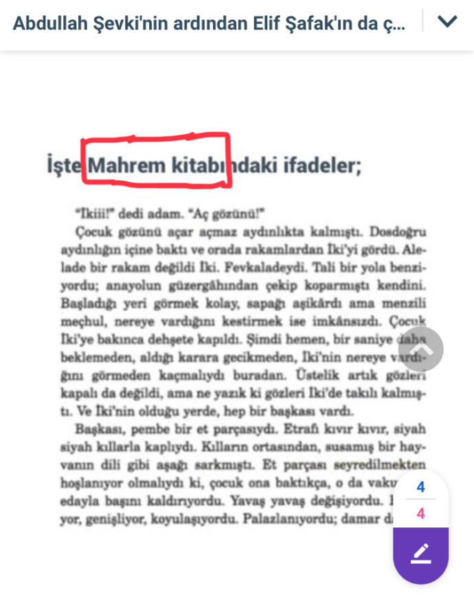 Abdullah Şevki'nin ardından Elif Şafak'ın da çocuk istismarını öven kitap yazdığı ortaya çıktı?