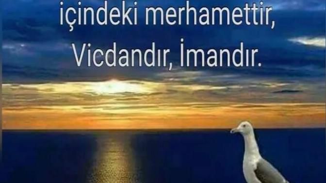 Sizce insanı insan yapan nedir?