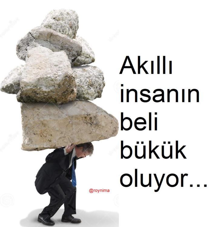 Bir insanın cahil olduğunu gösteren şeyler nedir?
