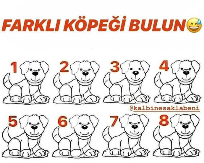 Kanka hangisi farklı bul bakalım 😂?